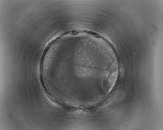 X0000112430390200909251541