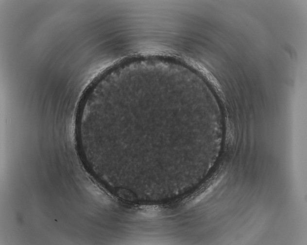 X0000112430391200909251541