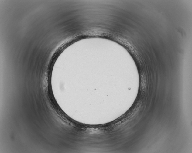 X0000112430392200909251541