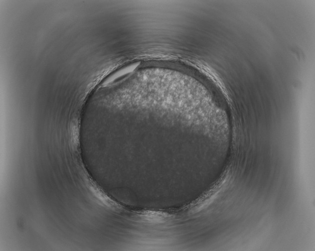 X0000112430393200909251541