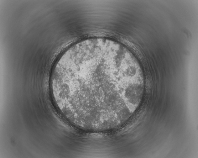 X0000112430394200909251541