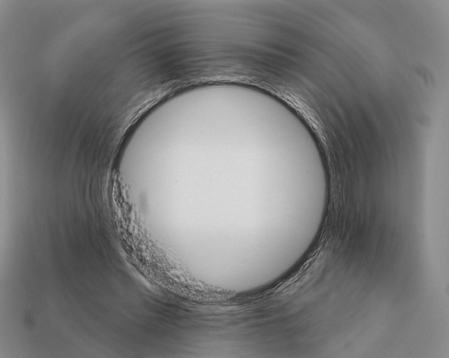X0000112430397200909251541