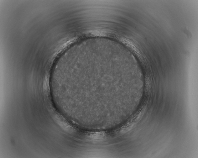 X0000112430398200909251541