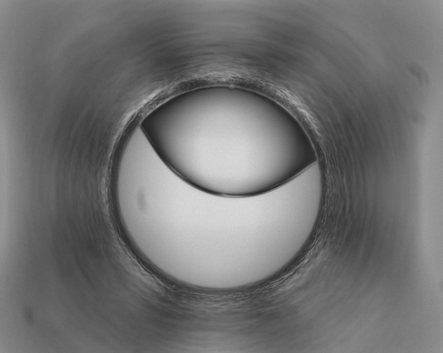 X0000112430399200909251541