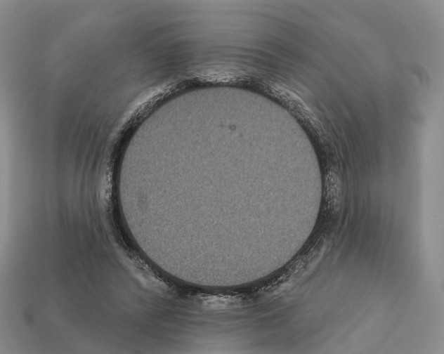 X0000112430400200909251541