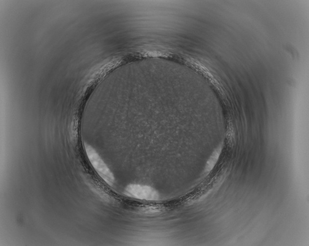 X0000112430402200909251541