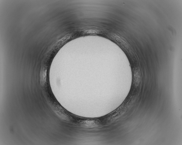 X0000112430406200909251541