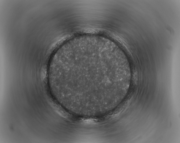 X0000112430407200909251541