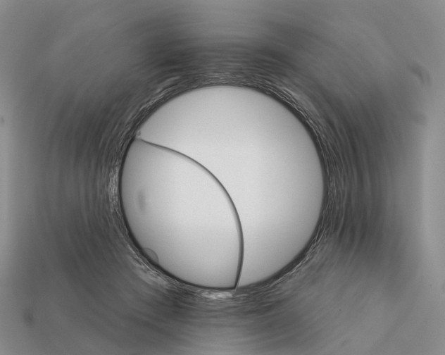 X0000112430409200909251541