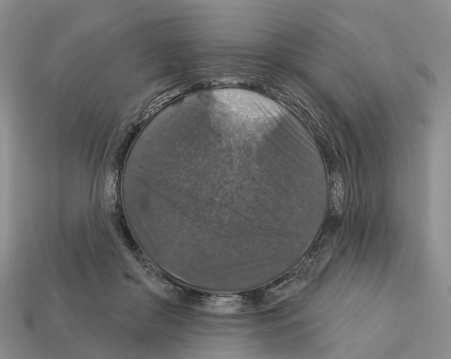 X0000112430410200909251541