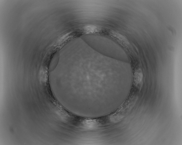 X0000112430413200909251541