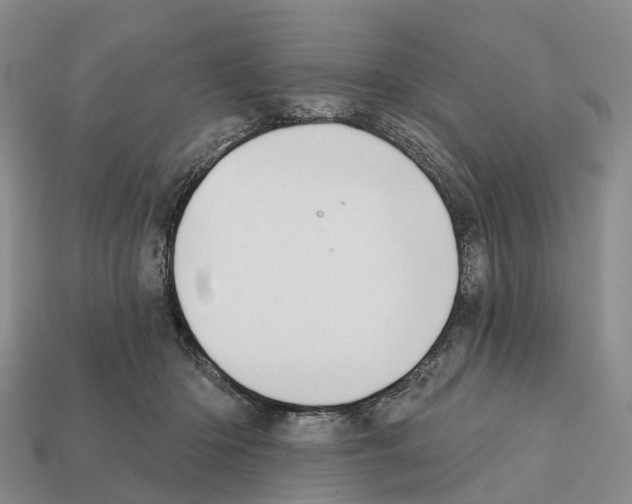 X0000112430414200909251541