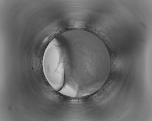 X0000112430415200909251541