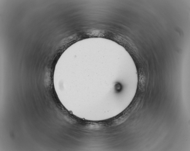 X0000112430416200909251541