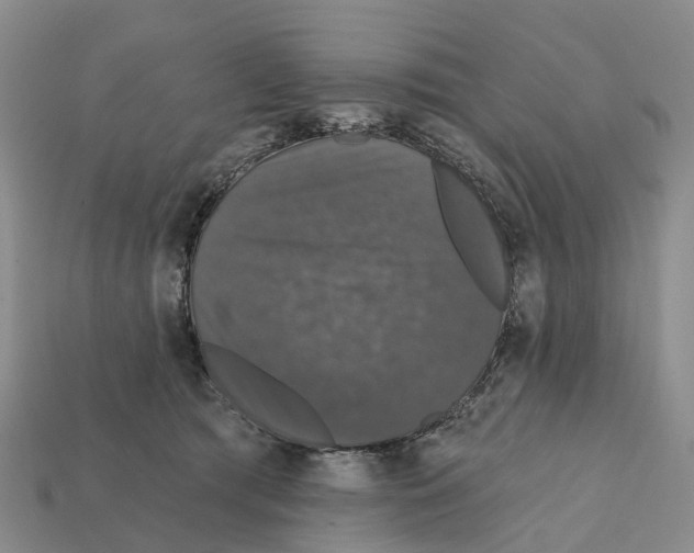 X0000112430417200909251541