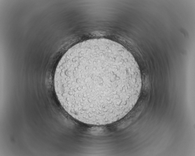 X0000112430418200909251541