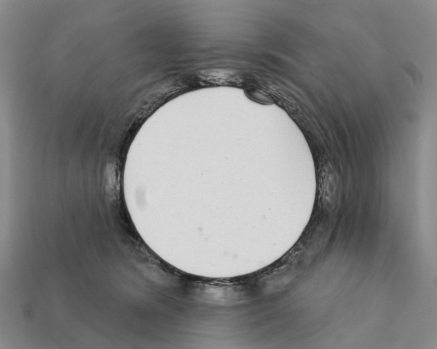 X0000112430420200909251541