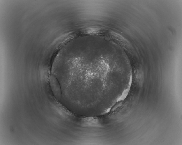 X0000112430421200909251541