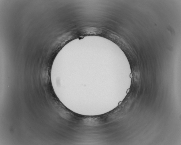 X0000112430422200909251541