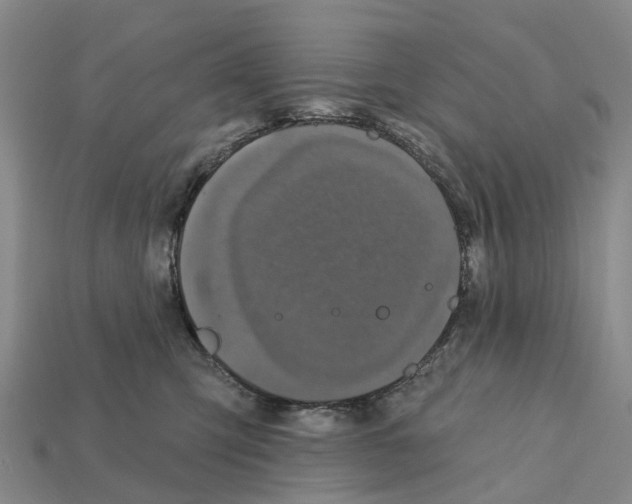 X0000112430423200909251541