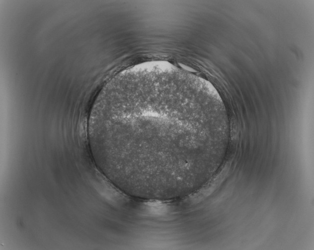 X0000112430425200909251541