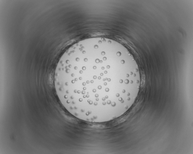 X0000112430426200909251541