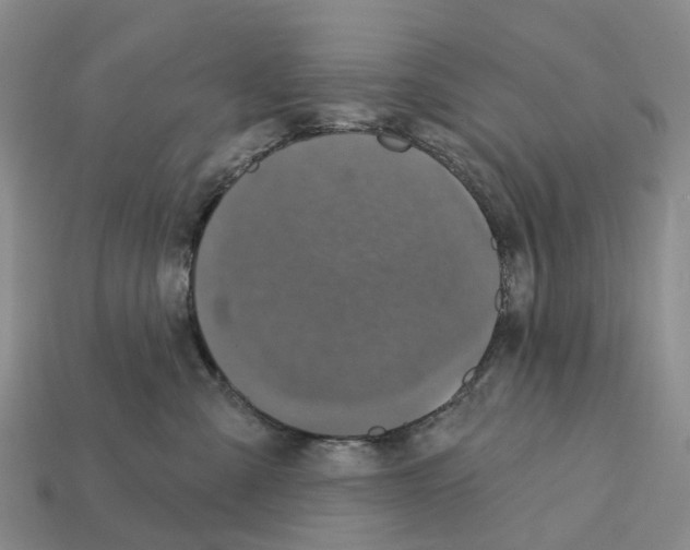 X0000112430427200909251541