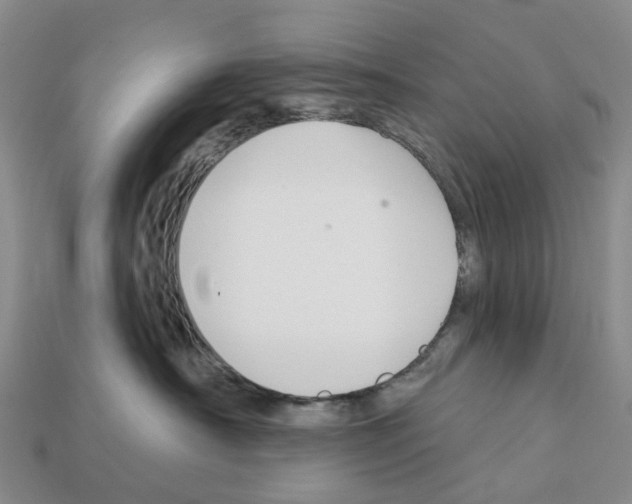 X0000112430430200909251541