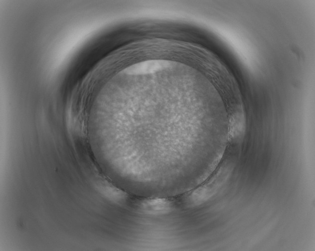 X0000112430431200909251541