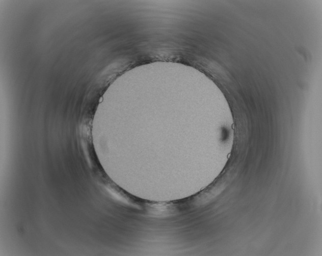 X0000112430432200909251541