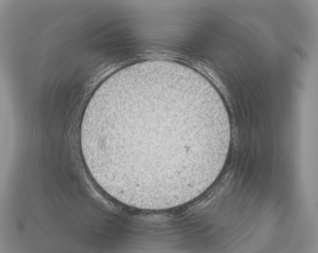 X0000112430433200909251540