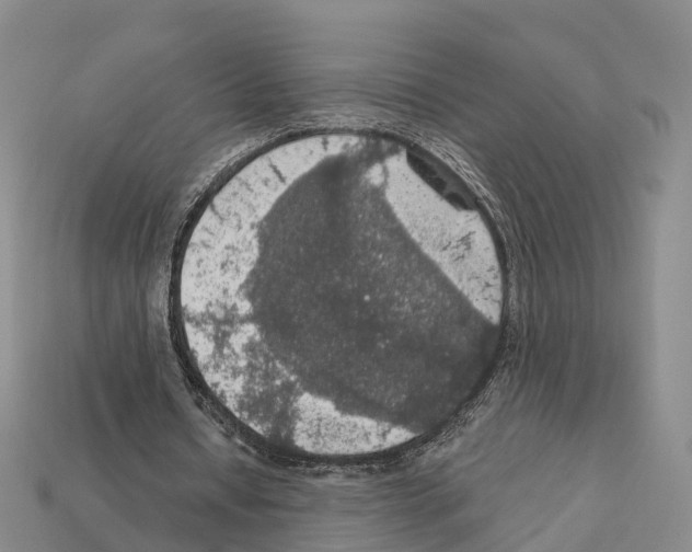 X0000112430434200909251540