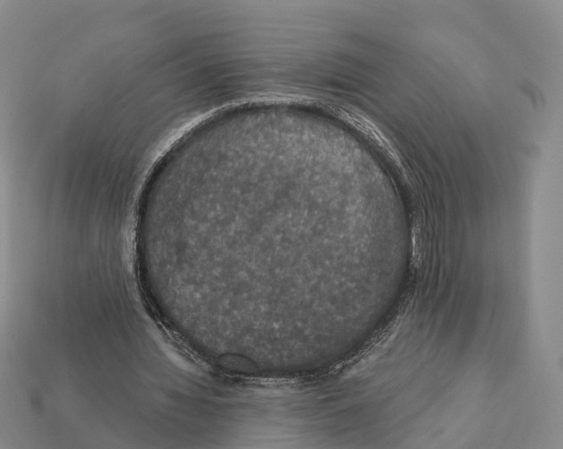 X0000112430436200909251540