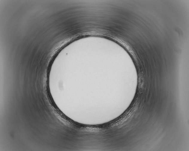 X0000112430437200909251540