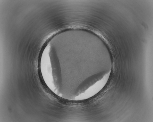 X0000112430438200909251540