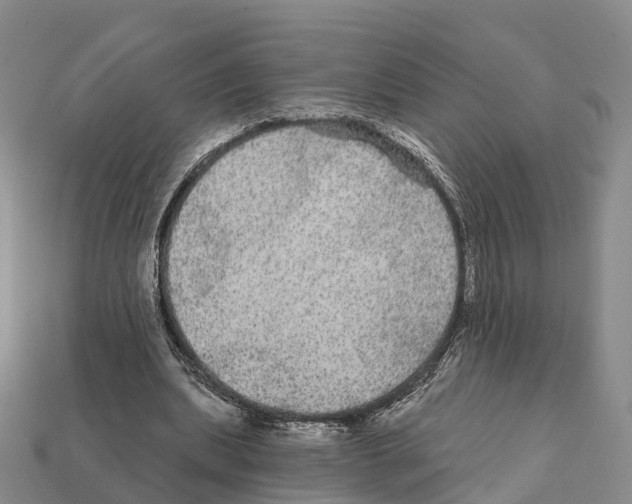X0000112430439200909251540