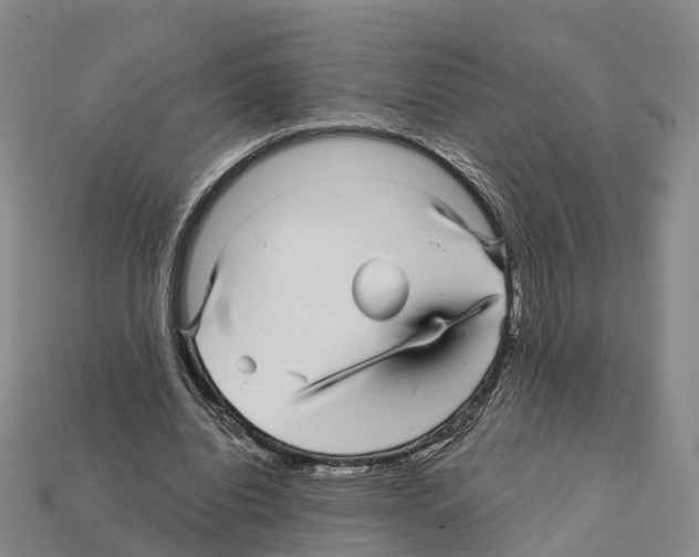 X0000112430440200909251540