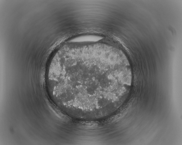 X0000112430443200909251540