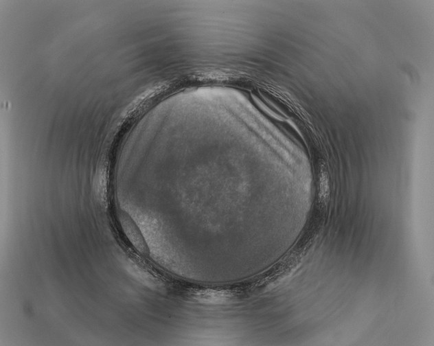 X0000112430444200909251540