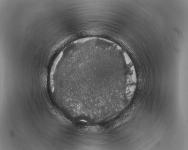 X0000112430446200909251540