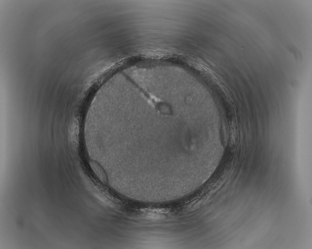 X0000112430448200909251540