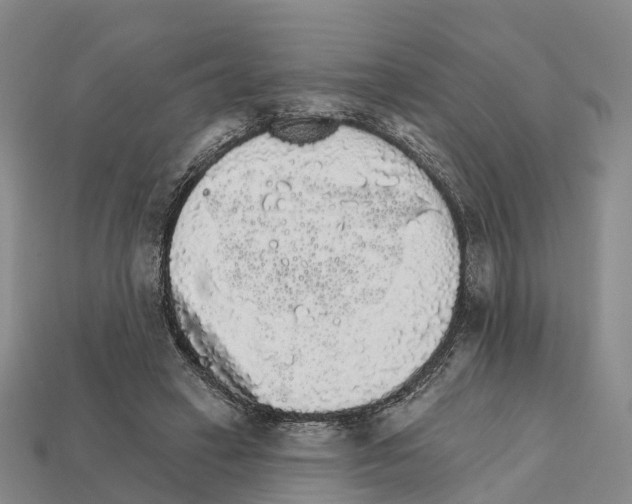 X0000112430449200909251540