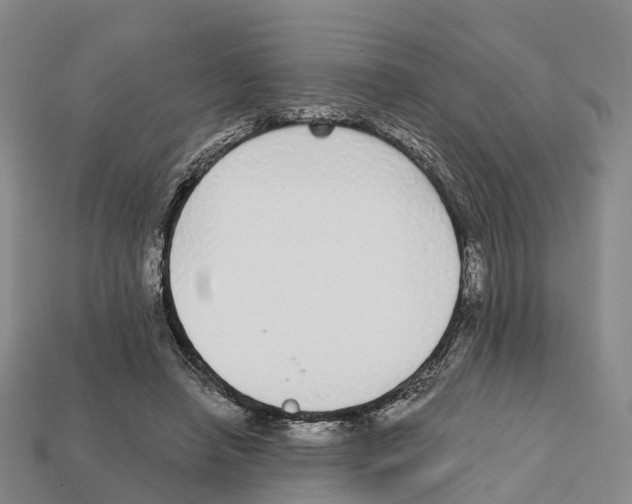X0000112430450200909251540