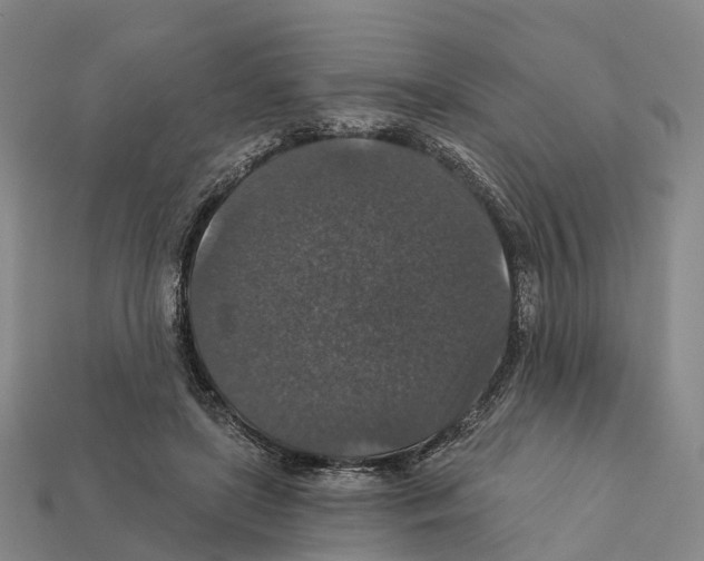 X0000112430451200909251540