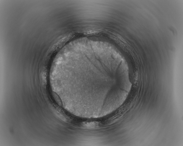 X0000112430452200909251540