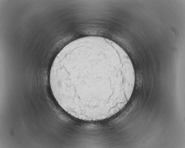 X0000112430453200909251540