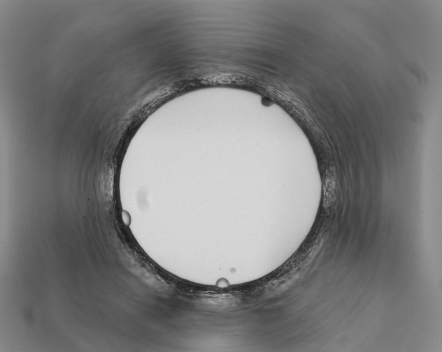 X0000112430454200909251540