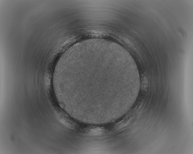 X0000112430456200909251540