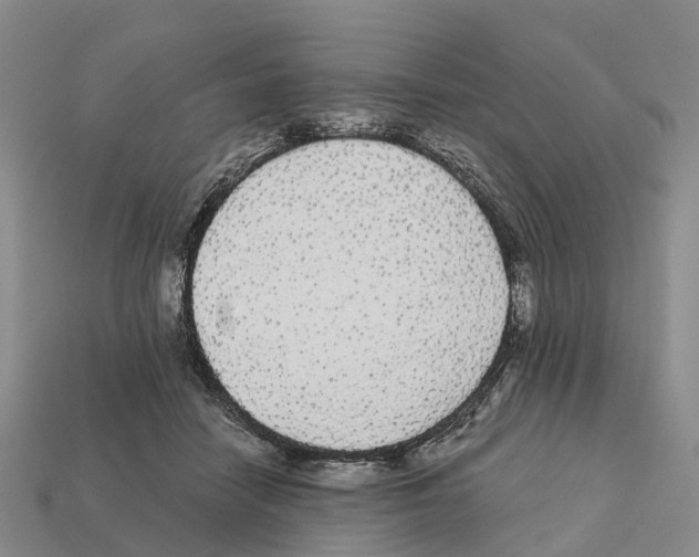 X0000112430458200909251540