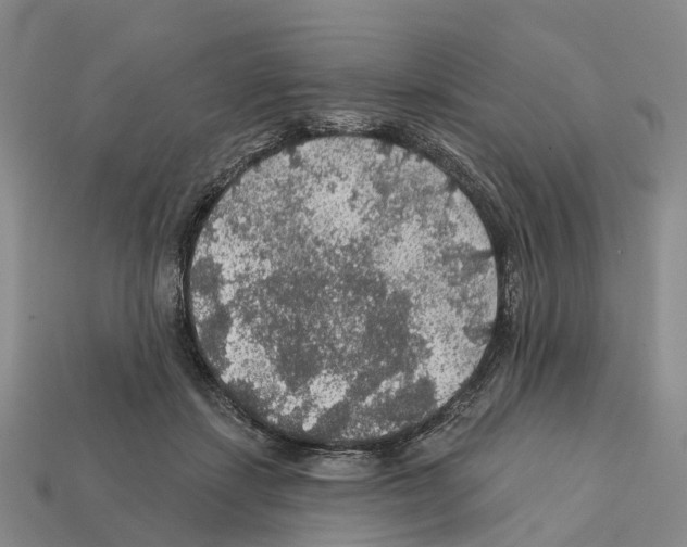 X0000112430459200909251540